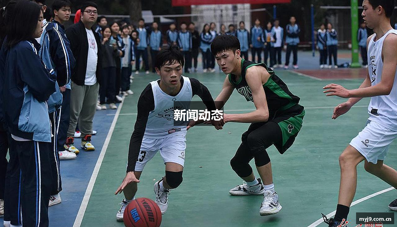 新闻动态
